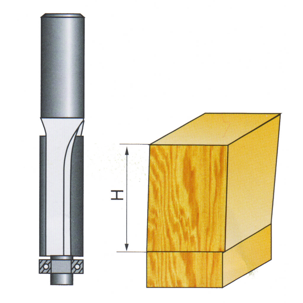 Raider freza profilata ø9.5mm x 8 mm h38mm cu rulment