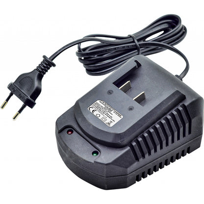 Raider Industrial Incarcator 20V x 4.0A RDI-CDB01 IBW01