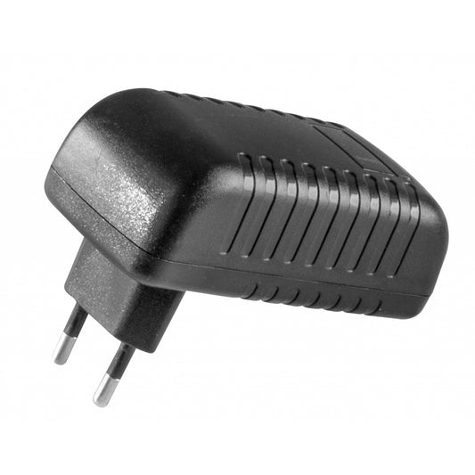 Raider Incarcator 12V RD-PSH01