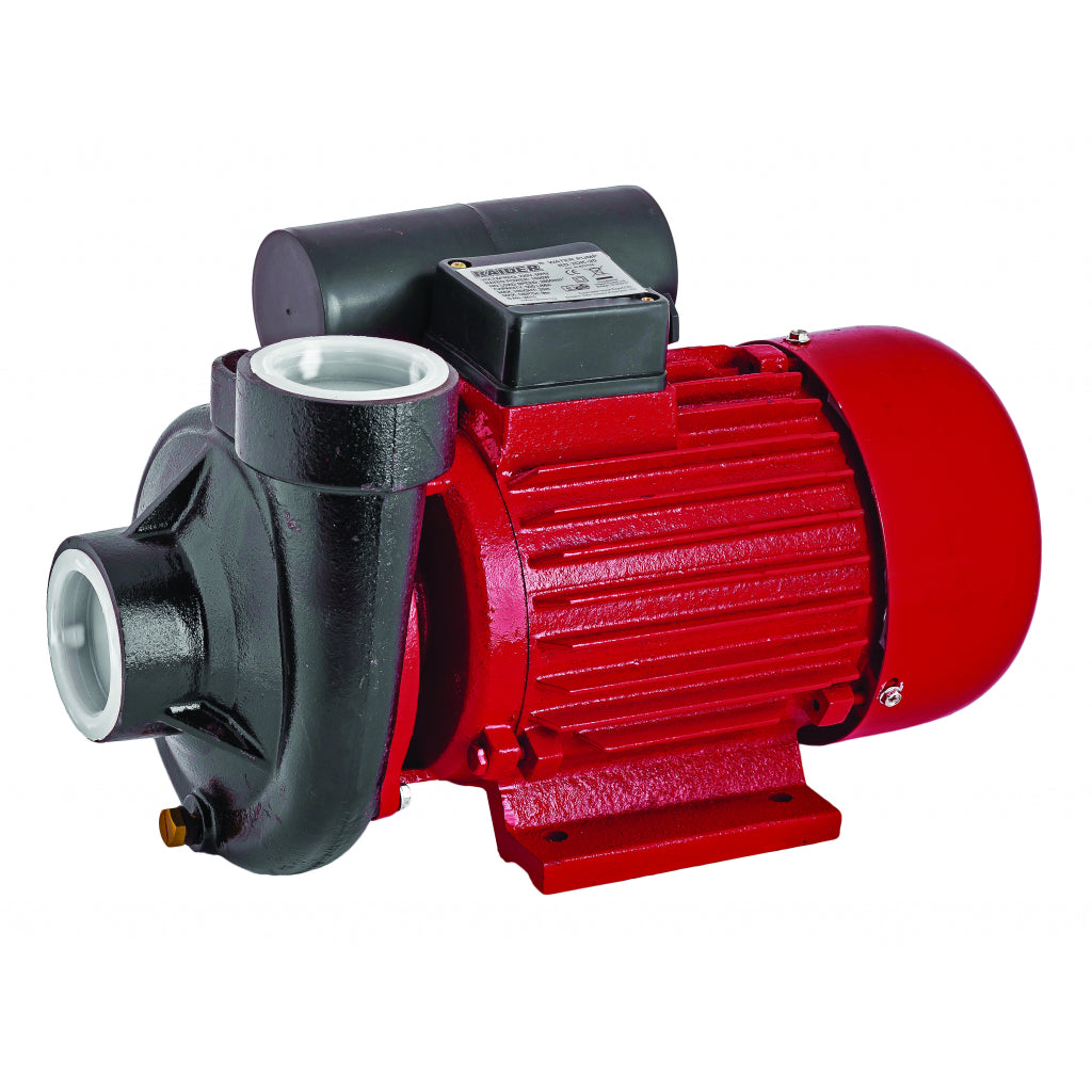 Raider Pompa de suprafata 1500W 2" 9-20m 30000l/h RD-2DK20