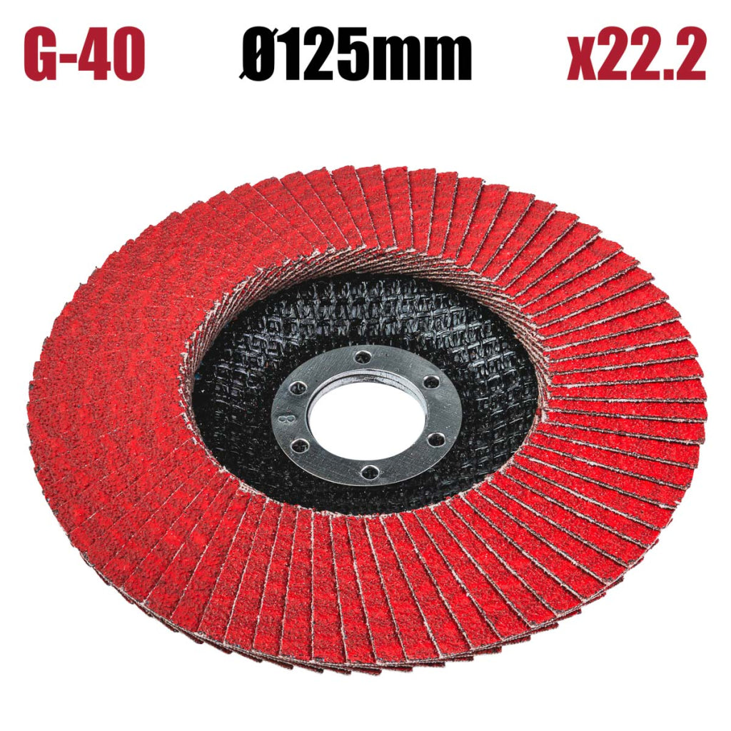 Raider Accessories Disc circular cu lamele smirghel ceramic ø125mm G40