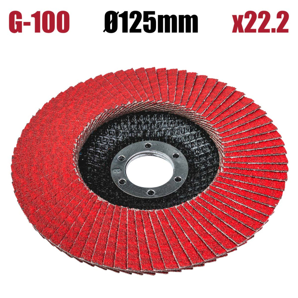 Raider Accessories Disc circular cu lamele smirghel ceramic ø125mm G100
