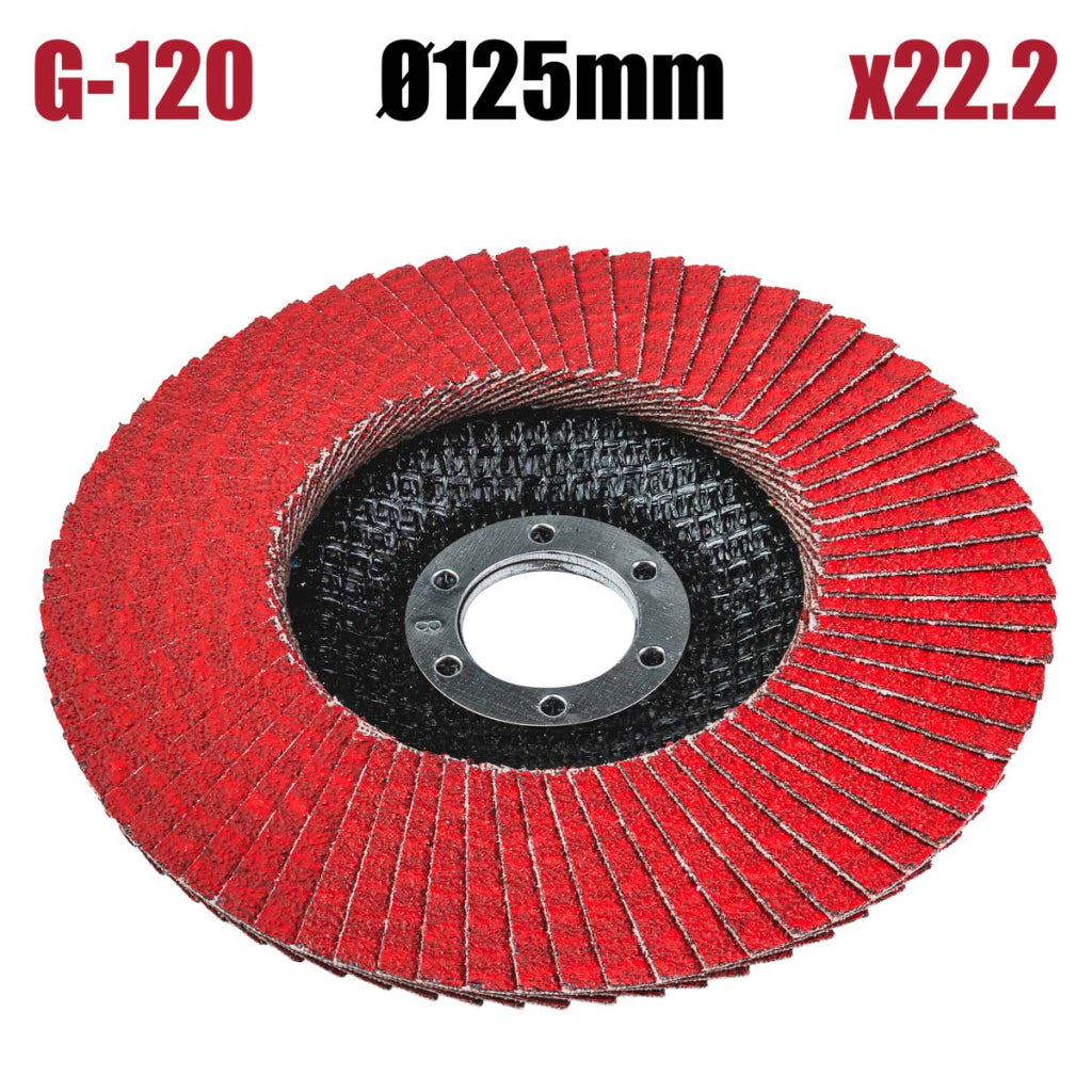 Raider Accessories Disc circular cu lamele smirghel ceramic ø125mm G120
