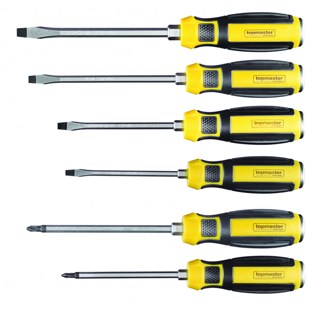 Top Master Pro Set 6 surubelnite de forta 2xPH 4xSL cap metalic CRV TMP