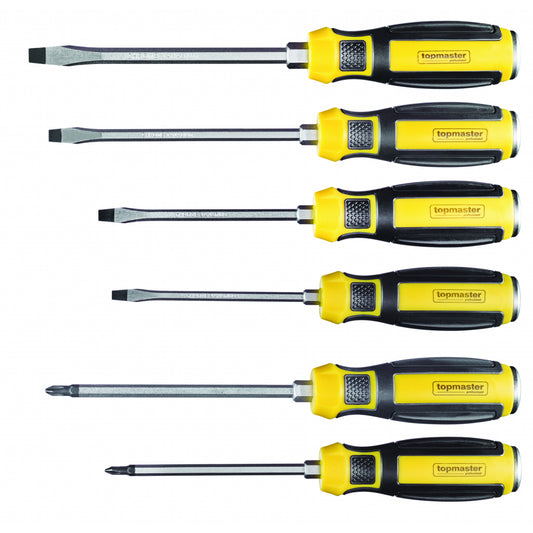 Top Master Pro Set 6 surubelnite de forta 2xPH 4xSL cap metalic CRV TMP