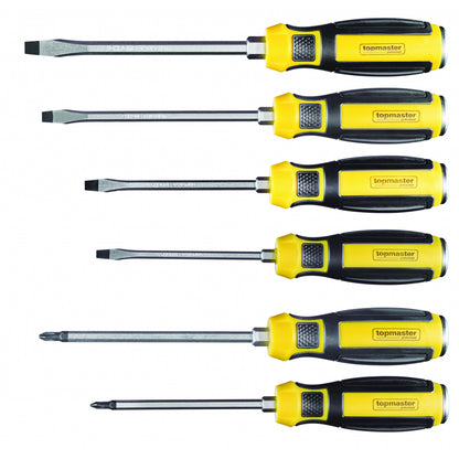 Top Master Pro Set 6 surubelnite de forta 2xPH 4xSL cap metalic CRV TMP