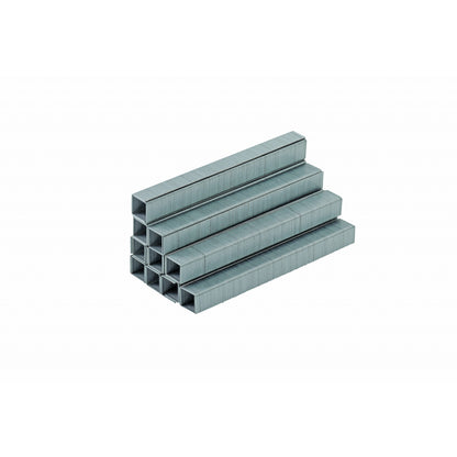 Raider Accessories Set 5000 de capse tip 10 16x12.8x1mm AS01
