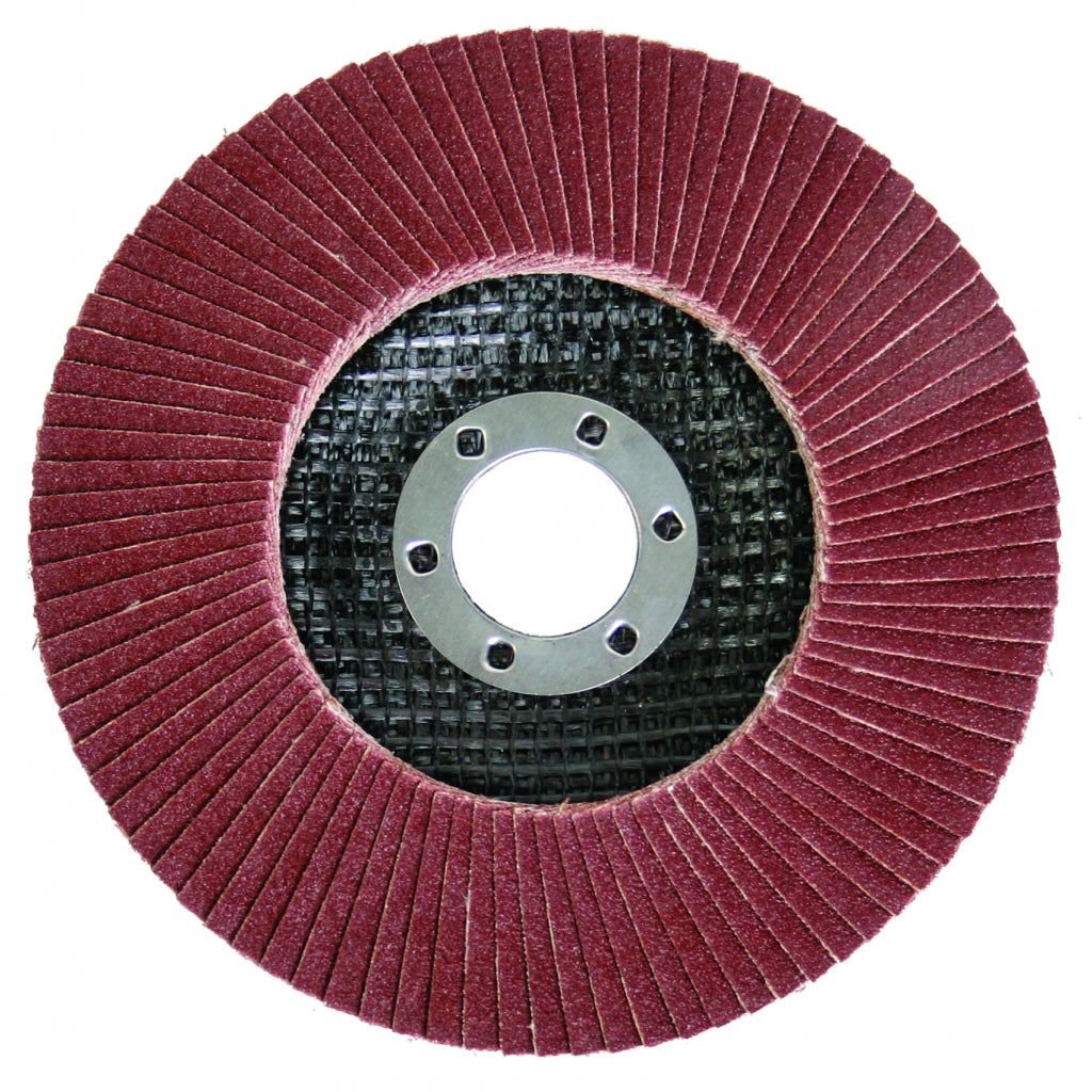 Raider Accessories Disc circular cu lamele smirghel ø115mm А60