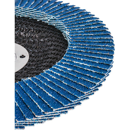 Raider Accessories Disc circular cu lamele smirghel zirconiu ø125mm G100