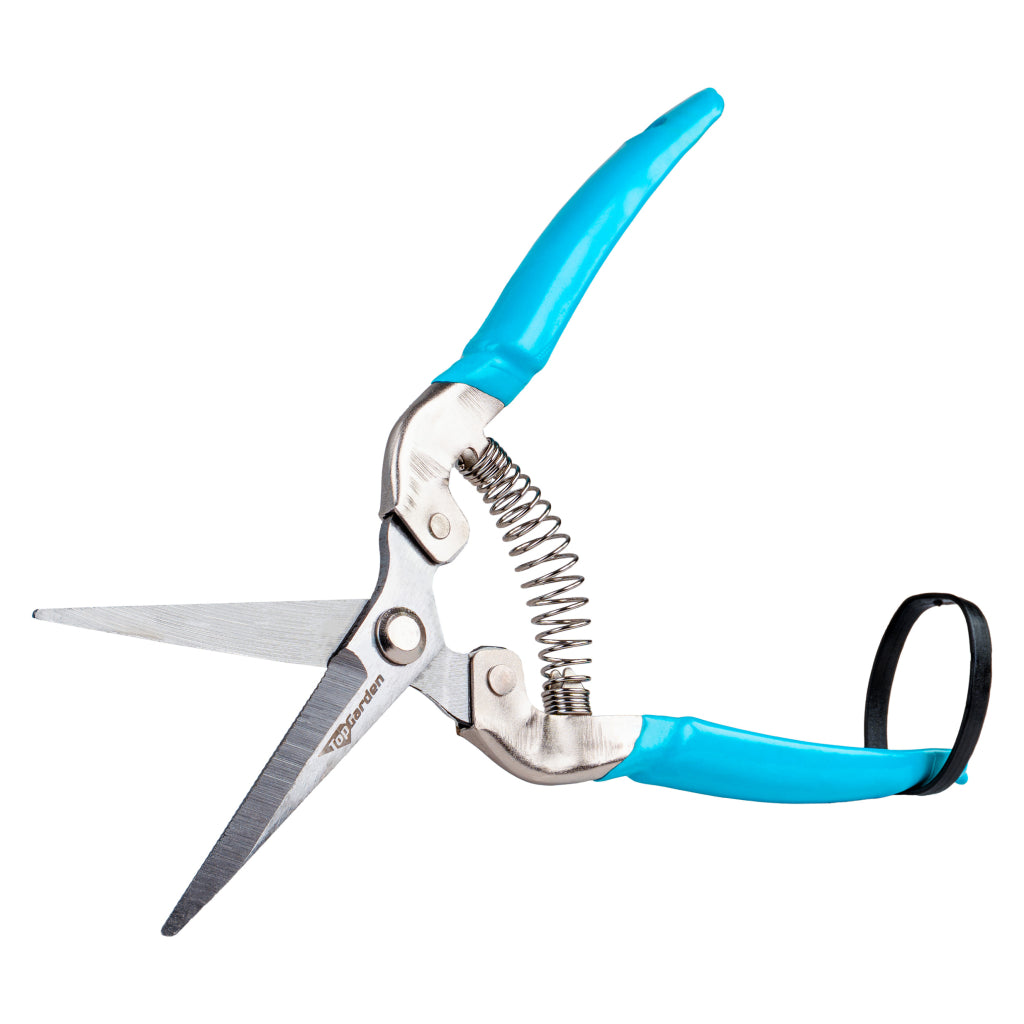 Top Garden Foarfeca pentru cules struguri 200mm TG