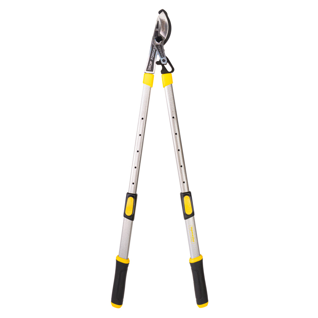 Top Master Pro Foarfeca pentru crengi forjata cu maner telescopic TMP