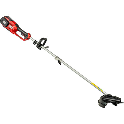 Raider R20 Motocoasa electrica si trimer 40V 4in1 2x2Ah RDP-BCPSHT20