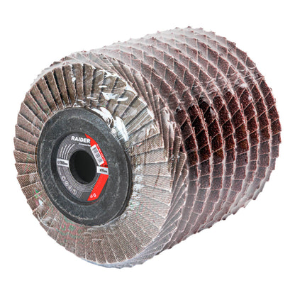 Raider Accessories Disc circular cu lamele smirghel ø100mm А80