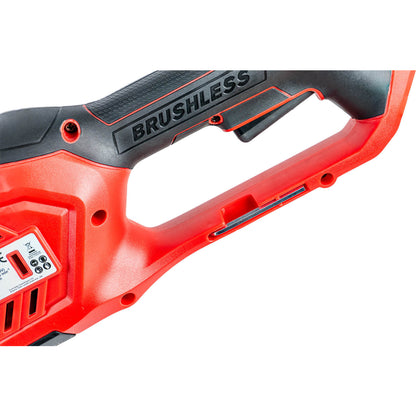 Raider R20 Motocoasa electrica si trimer 40V 4in1 2x2Ah RDP-BCPSHT20